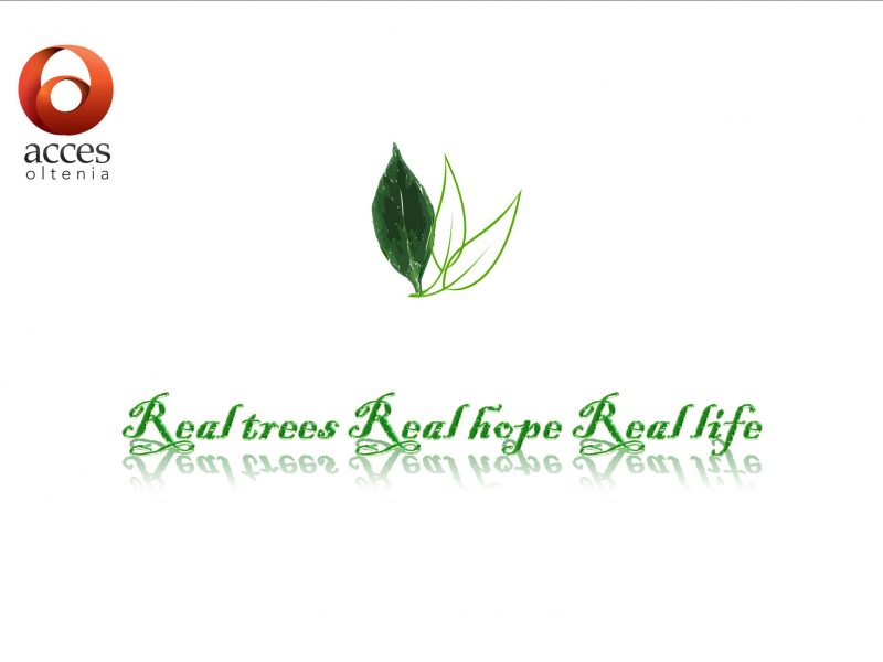Real trees, real hope, real life